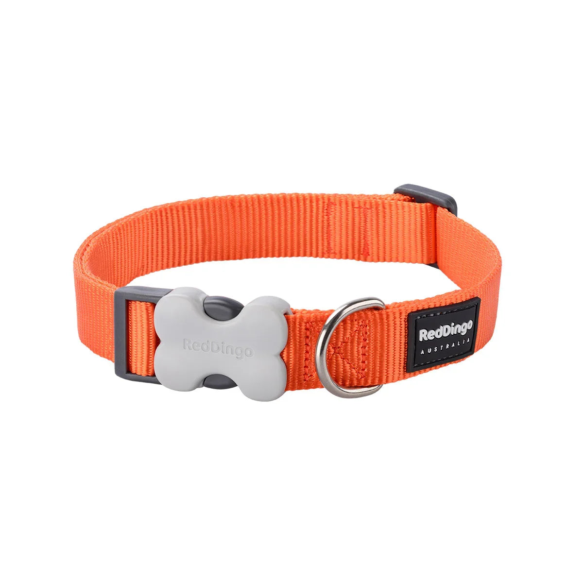 Red Dingo Dog Collar Classic Orange