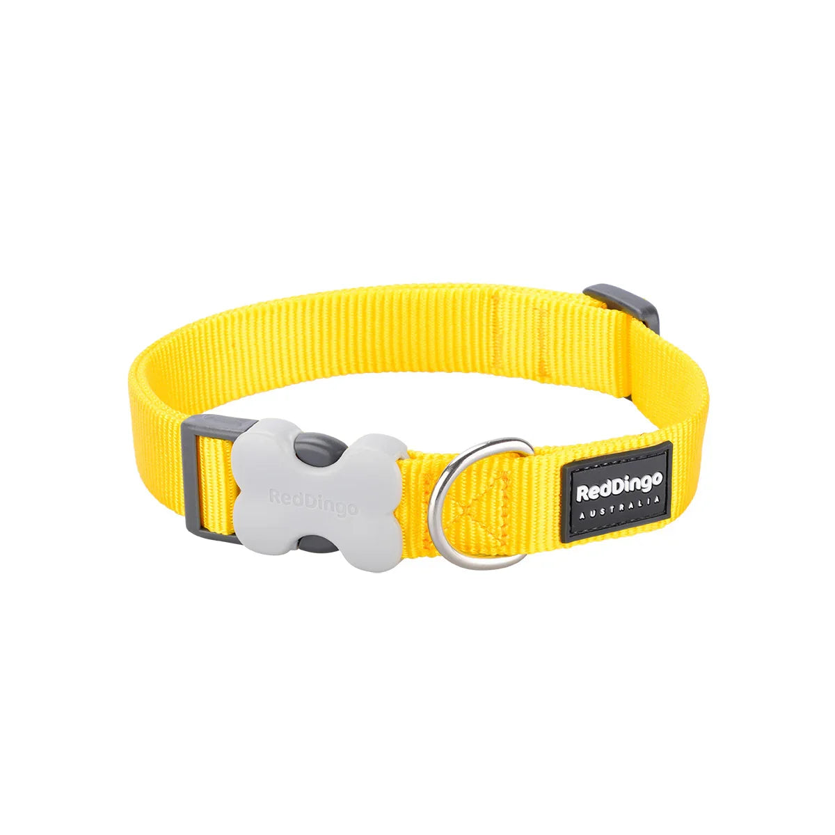 Red Dingo Dog Collar Classic Yellow