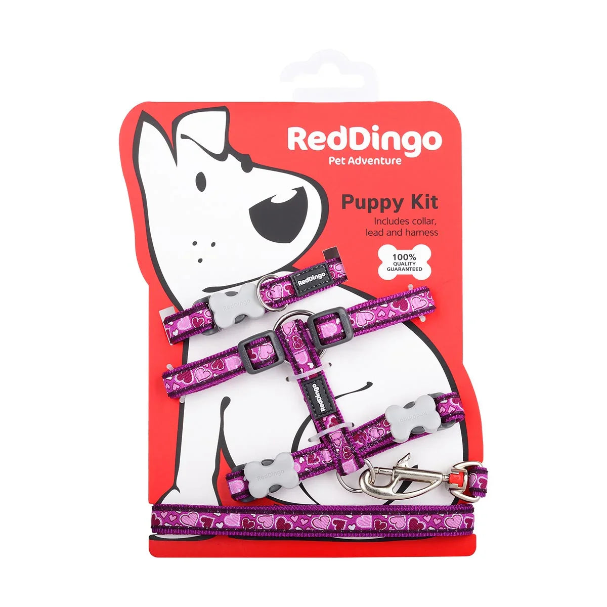 Red Dingo Puppy Pack Design Breezy Love Purple