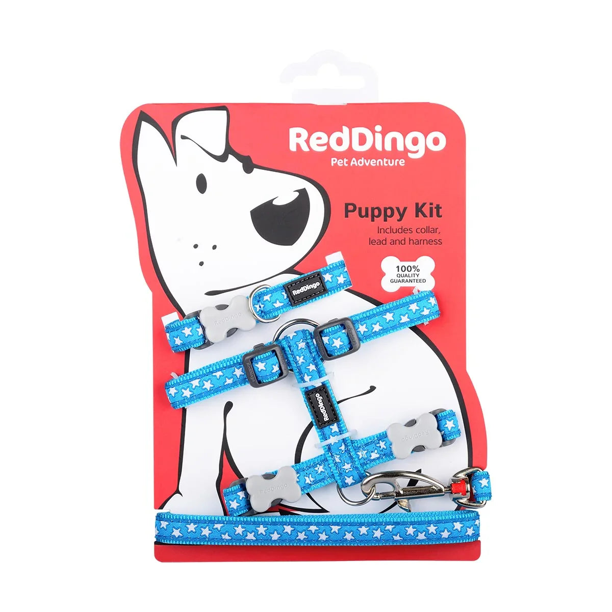 Red Dingo Puppy Pack Design Stars White on Turquoise