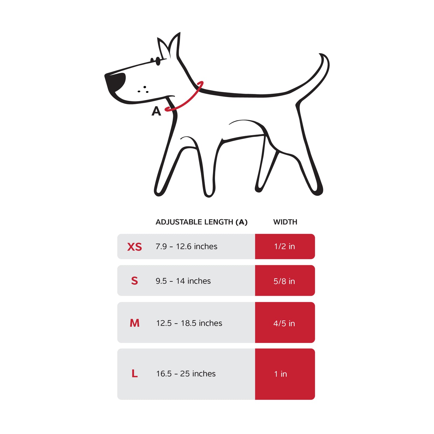 Dog Collar Design Squiggles Black