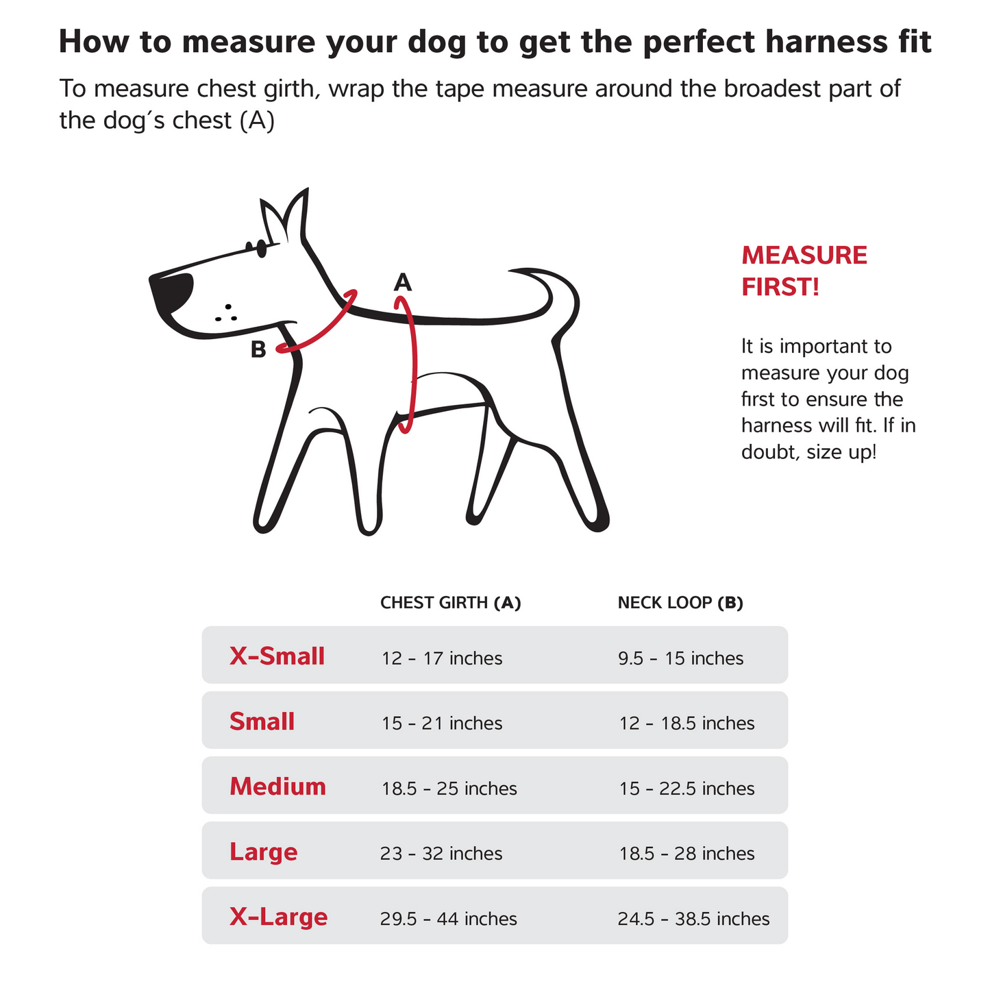 Sport Harness Red