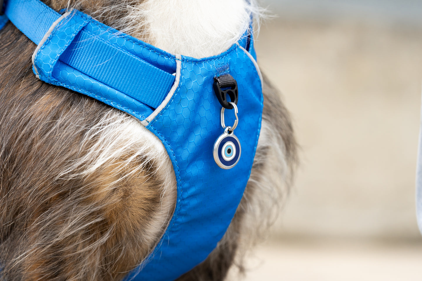 Sport Harness Electric Blue
