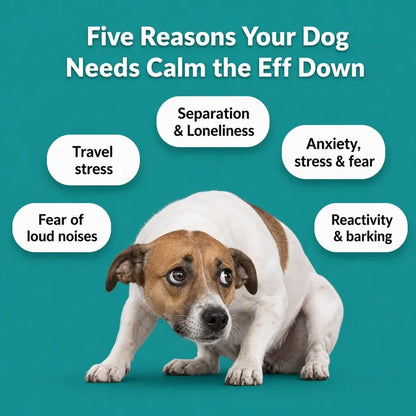 Calm the Eff Down Treats Chicken Flavour