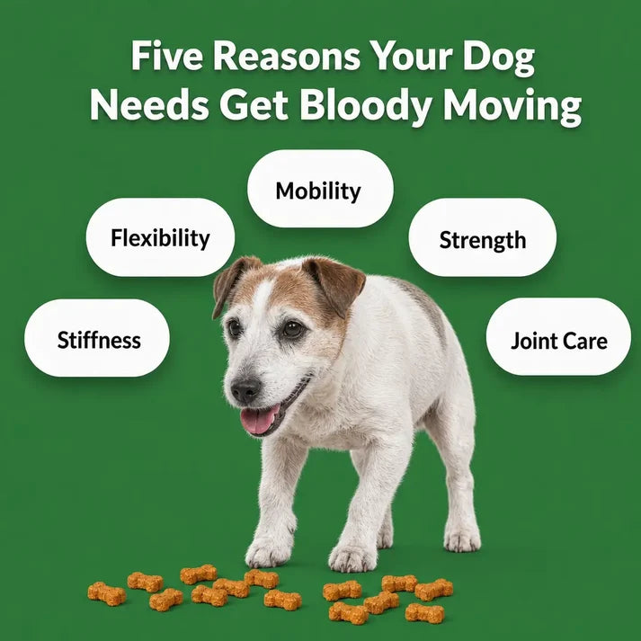 Get Bloody Moving Treats Chicken Flavour 90 Tablets