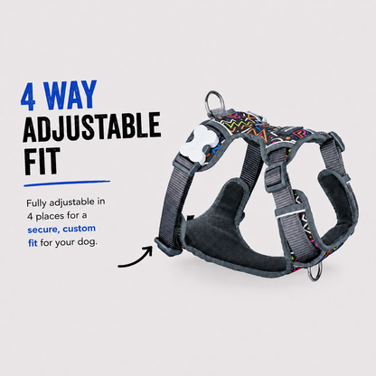 Dog Padded Harness Squiggles Black