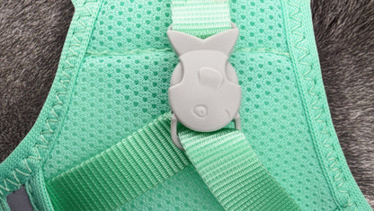 Cat Mesh Harness  - Turquoise