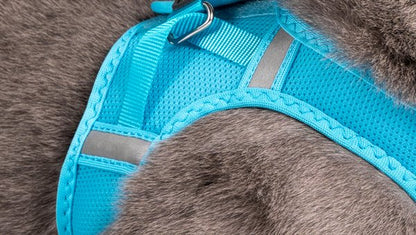 Cat Mesh Harness  - Mauve