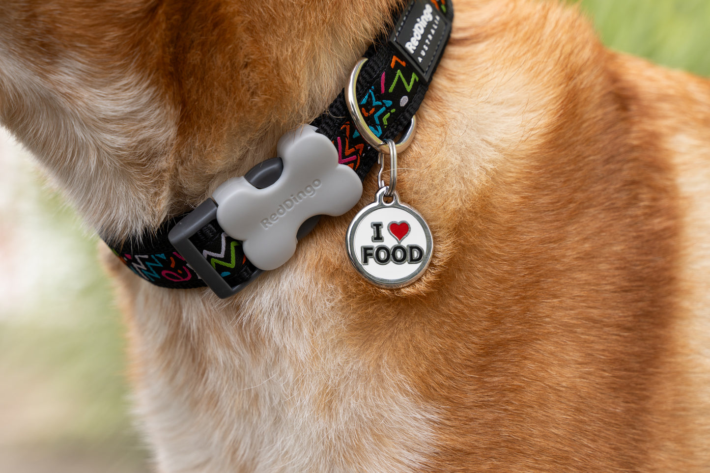 Dog Collar Design Squiggles Black