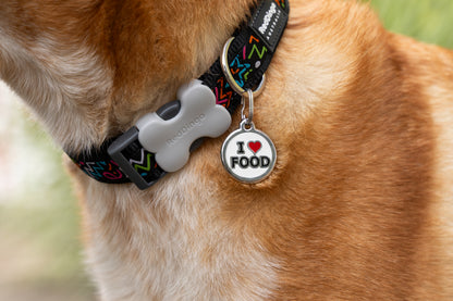 Dog Collar Design Squiggles Black
