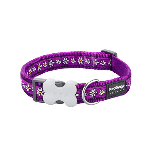 Dog Collar Design Daisy Chain Purple