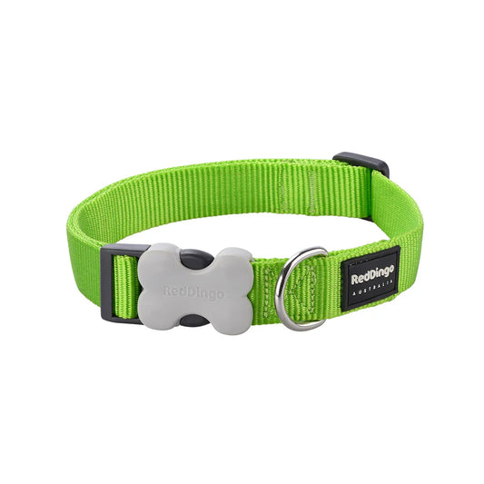 Dog Collar Classic Lime Green