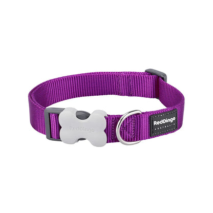 Dog Collar Classic Purple