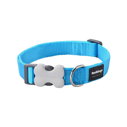 Dog Collar Classic Turquoise