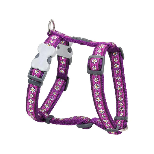 Dog H-Harness Design Daisy Chain Purple