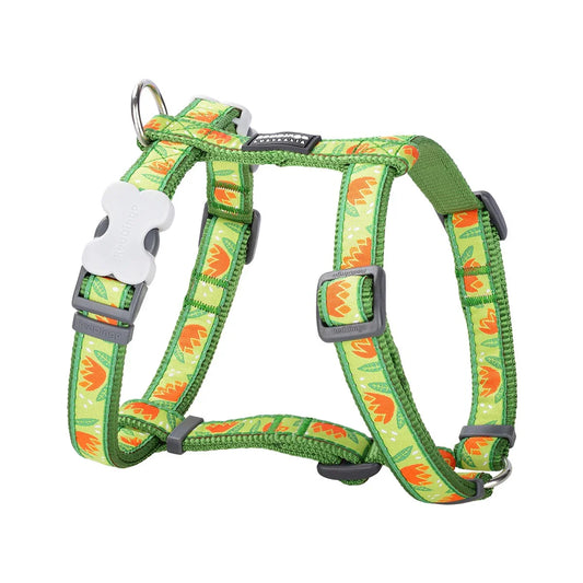 Dog H-Harness Design Tropical Green