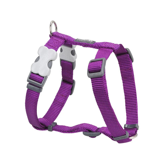 Dog H-Harness Classic Purple