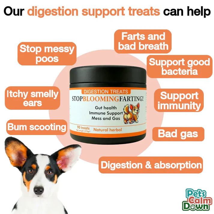 Stop Blooming Farting Treats Chicken Flavour 90 Tablets
