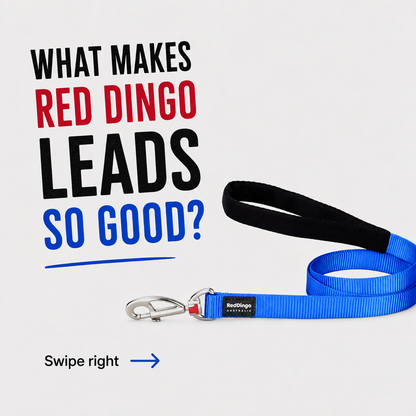 Dog Lead Classic Orange 1.2m