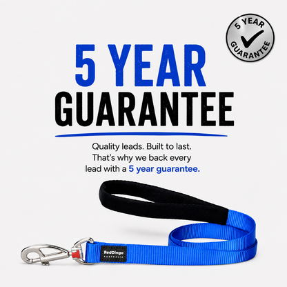 Dog Lead Classic Orange 1.2m