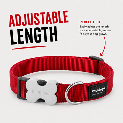 Dog Collar Classic Electric Blue