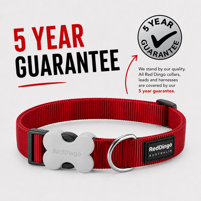 Dog Collar Classic Electric Blue