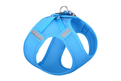 Mesh Harness Turquoise