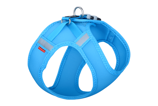 Mesh Harness Turquoise