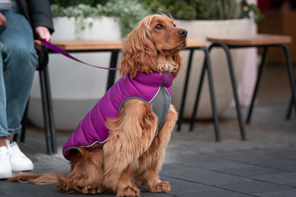 Puffer Jacket Plum/Hot Pink