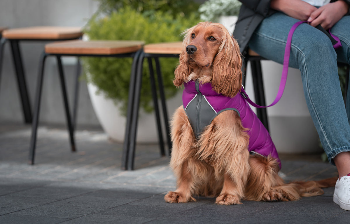 Puffer Jacket Plum/Hot Pink