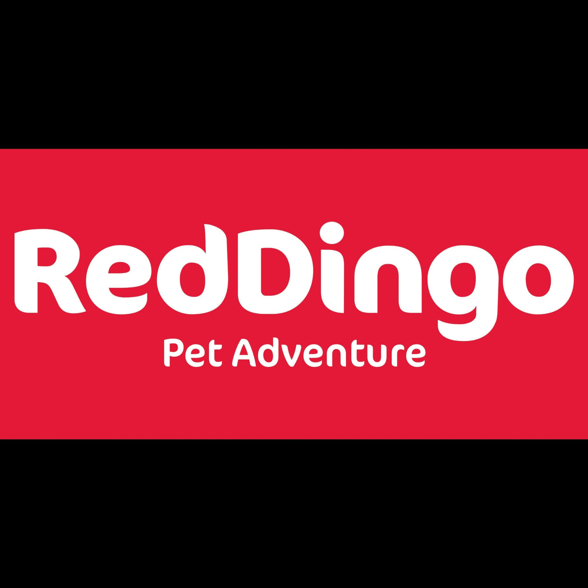 Red Dingo