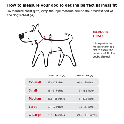 Sport Harness Red