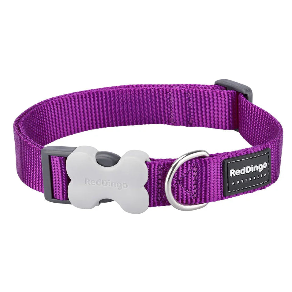Red Dingo Classic Collar Purple