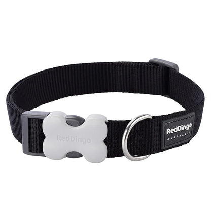 Red Dingo Dog Collar Classic Black