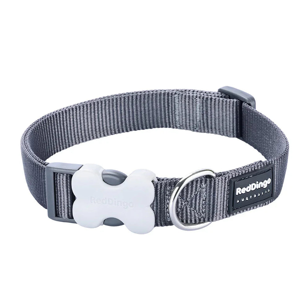 Red Dingo Dog Collar Classic Cool Grey