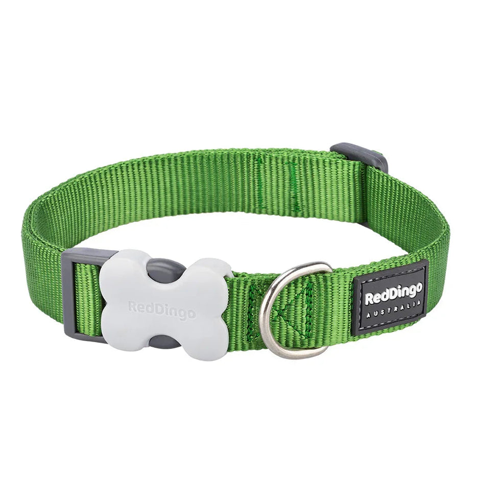 Red Dingo Dog Collar Classic Green