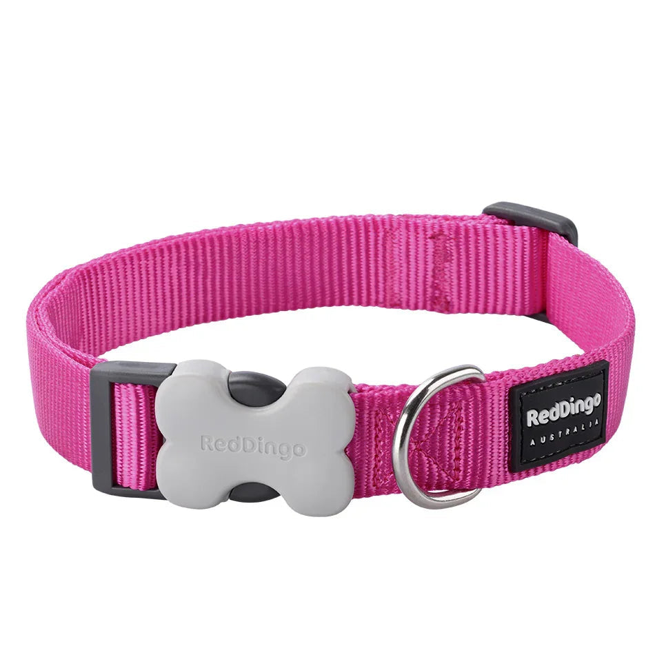 Red Dingo Dog Collar Classic Hot Pink