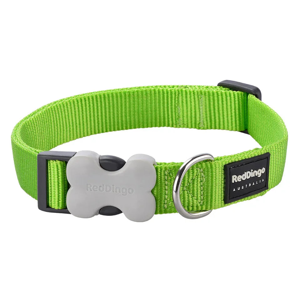 Red Dingo Dog Collar Classic Lime Green