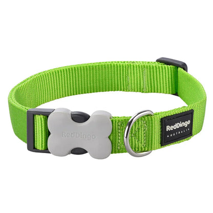 Red Dingo Dog Collar Classic Lime Green