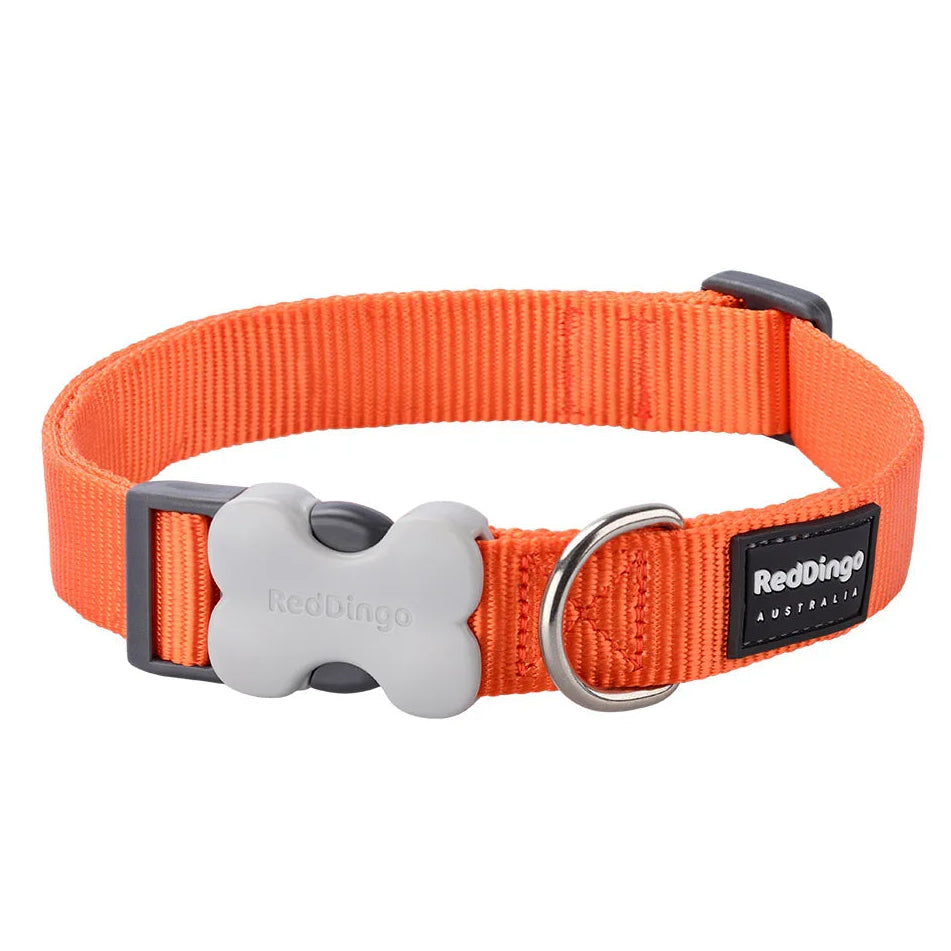 Red Dingo Dog Collar Classic Orange