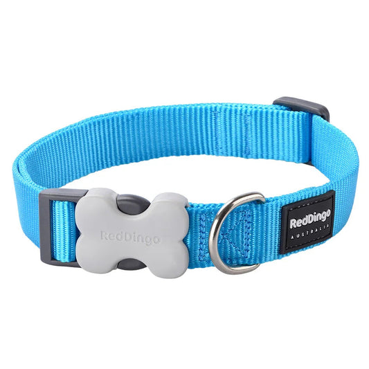 Red Dingo Dog Collar Classic Turquoise