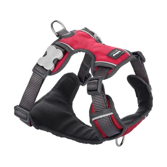 Red Dingo Dog Padded Harness in Red – Comfortable fleece-lined adjustable harness with Bucklebone clips and stainless steel D-rings
