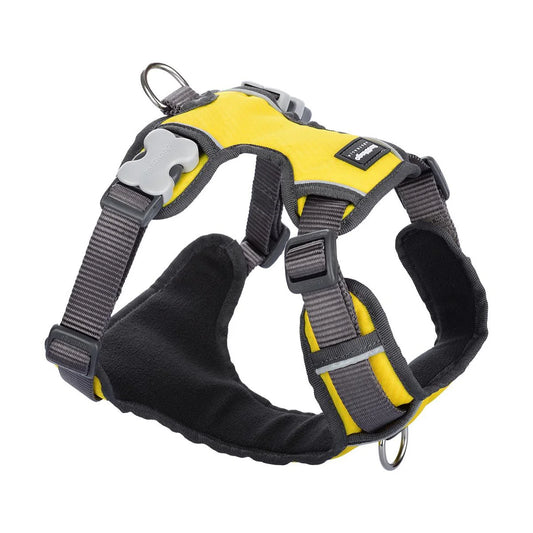 Red Dingo Dog Padded Harness Yellow