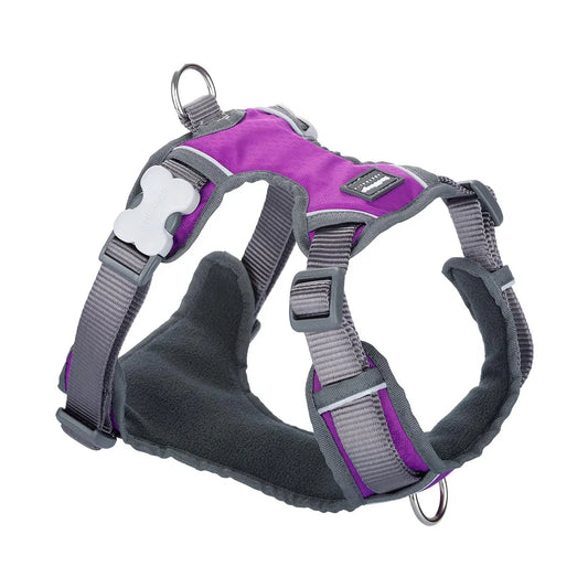Red Dingo Dog Padded Harness in Purple – Comfortable fleece-lined adjustable harness with Bucklebone clips and stainless steel D-rings
