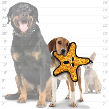 Tuffy Ocean Starfish
