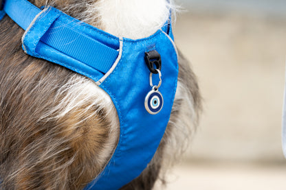 Sport Harness Electric Blue