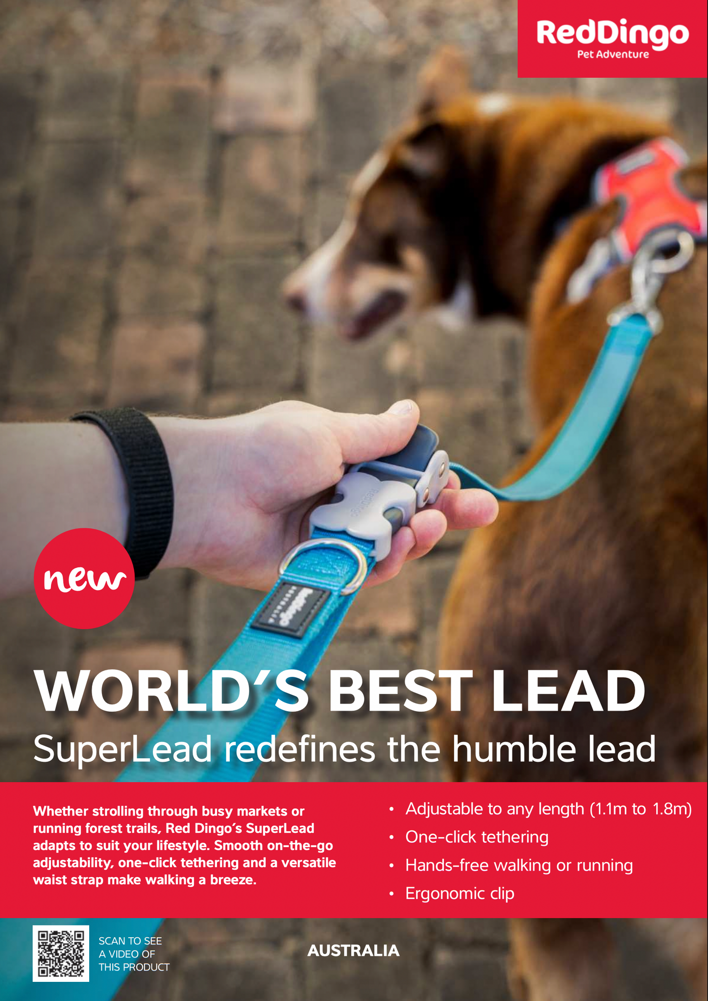 Dog Superlead Design Stars White on Turquoise