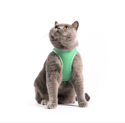 Cat Mesh Harness  - Mauve