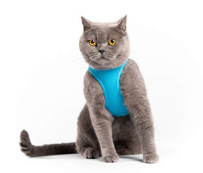 Cat Mesh Harness  - Mauve