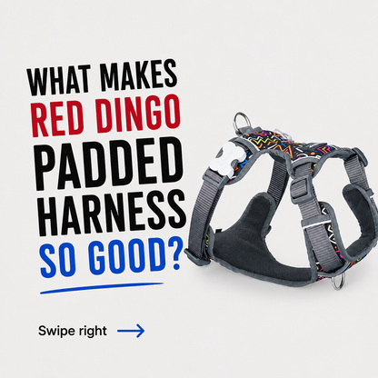 Dog Padded Harness Squiggles Black